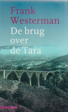 De brug over de Tara