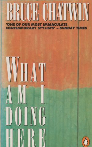 What am I doing here