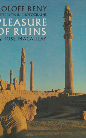 Pleasure of ruins
