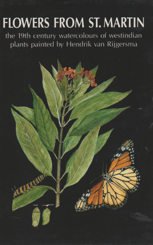 Flowers from St. Martin