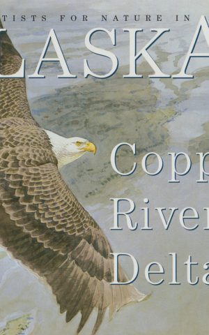 Artists for nature in Alaska's Copper River Delta