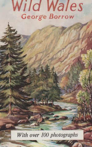 Wild Wales - its people, language and scenery -