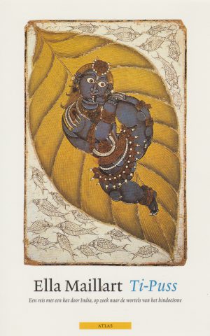 Ti-Puss - Een reis met een kat door India, op zoek naar de wortels van het hindoeïsme -