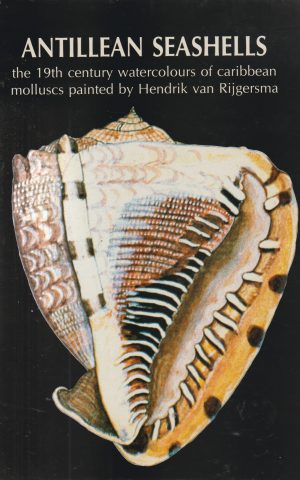 Antillean Seashells - the 19th century watercolours of Caribbean molluscs painted by Hendrik van Rijgersma -