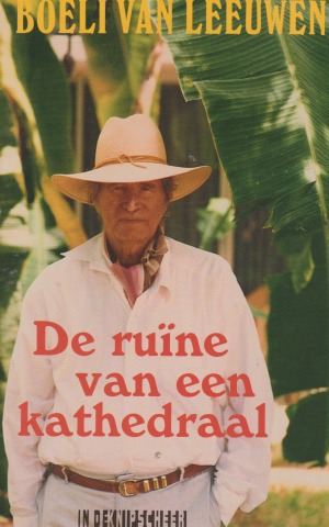 De ruïne van een kathedraal - Verhalen -