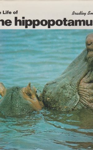 The Life of the hippopotamus