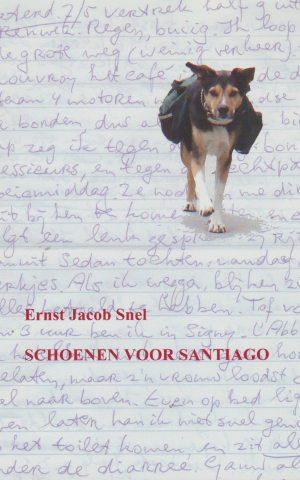 Schoenen voor Santiago