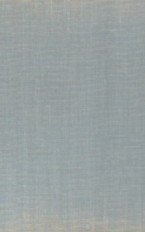 Souwtje de Wijn - Leven en illusies van een Texels kunstenares -