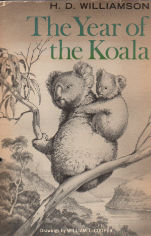 The Year of the Koala