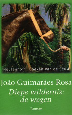 Diepe wildernis: de wegen - Roman -