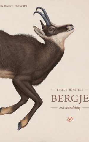 Bergje - een wandeling -