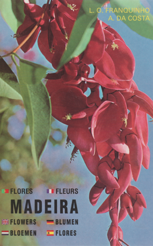 Madeira - Plantas e Flores - Plantes et Fleurs - Plants and Flowers - Pflanzen und Blumen - Planten en Bloemen - Plantas y Flores -