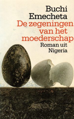 De zegeningen van het moederschap - Roman uit Nigeria -