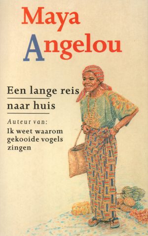 Een lange reis naar huis - een autobiografische roman -