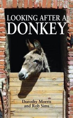 Looking after a Donkey