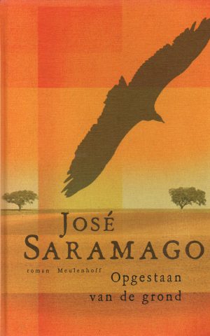 Opgestaan van de grond - roman -