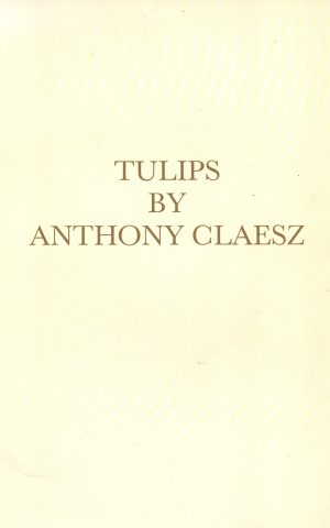 Tulips by Anthony Claesz