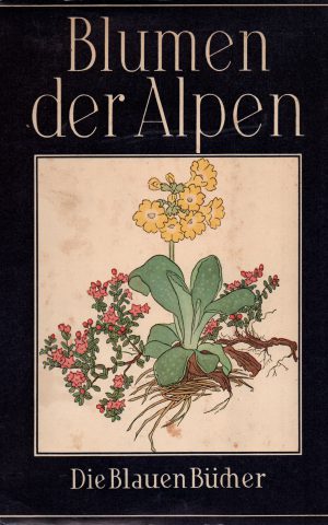 Blumen der Alpen