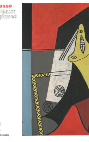 Picasso - Tableaux magiques -