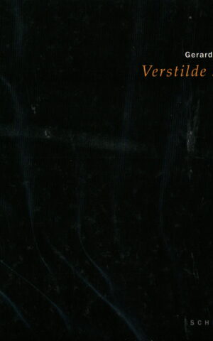 Gerard van de Weerd - Verstilde schoonheid - Schilderijen -