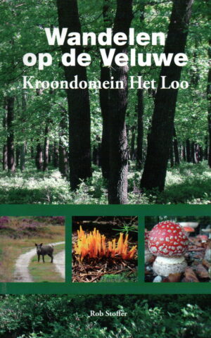 Wandelen op de Veluwe - Kroondomein Het Loo -