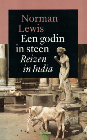 Godin in steen - Reizen in India -