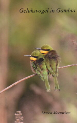 Geluksvogel in Gambia