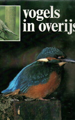 Vogels in Overijssel
