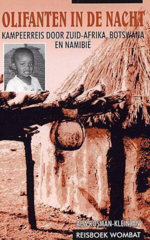 Olifanten in de nacht - Kampeerreis door Zuid-Afrika, Botswana en Namibië -