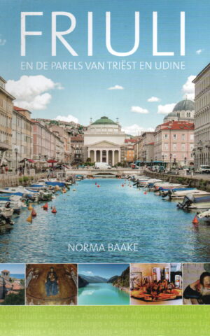 Friuli - en de parels van Triëst en Udine -