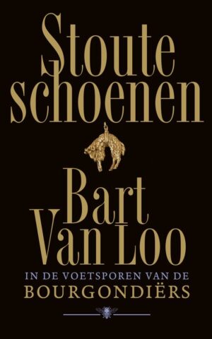 Stoute schoenen - In de voetsporen van de Bourgondiërs -