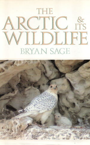 The Arctic & its Wildlife